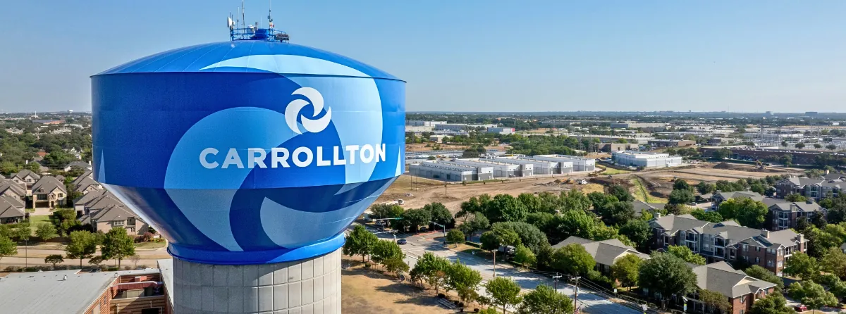 Carrollton trash can cleaning tips