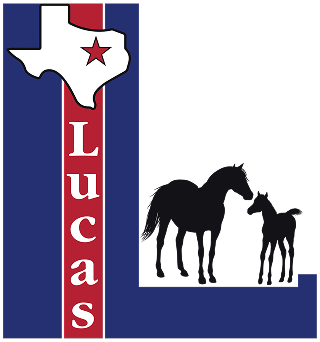 Trash Can Cleaning Service in Lucas, Texas