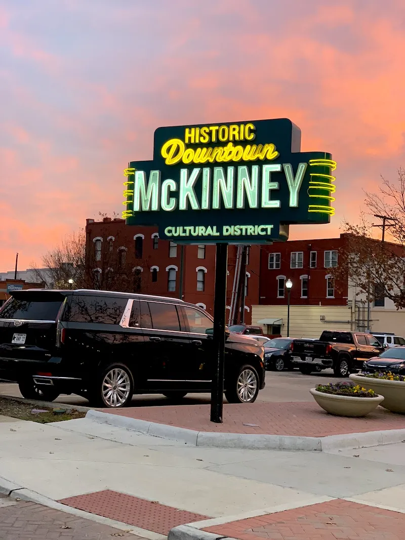 McKinney trash can cleaning tips